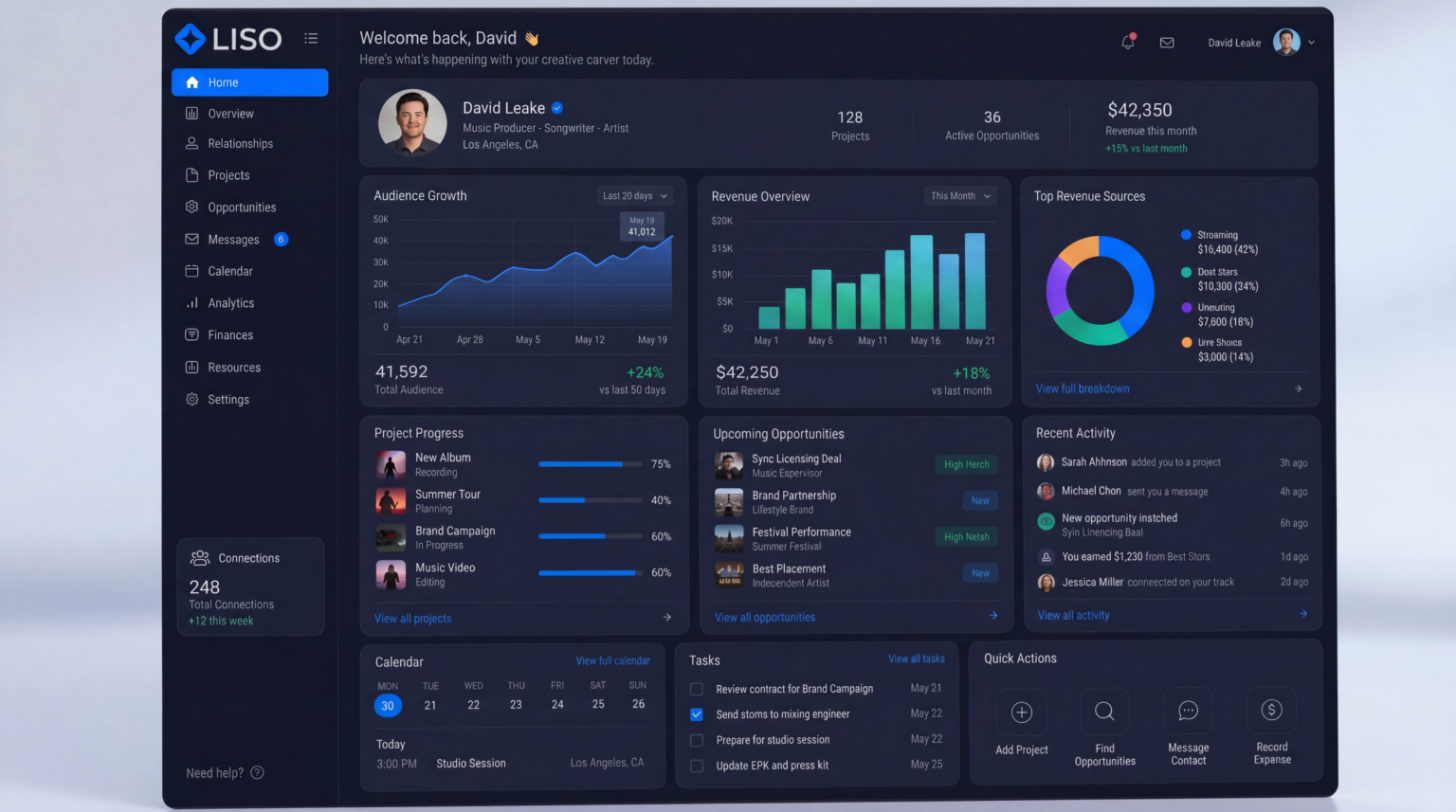 Liso artist career dashboard product experience preview